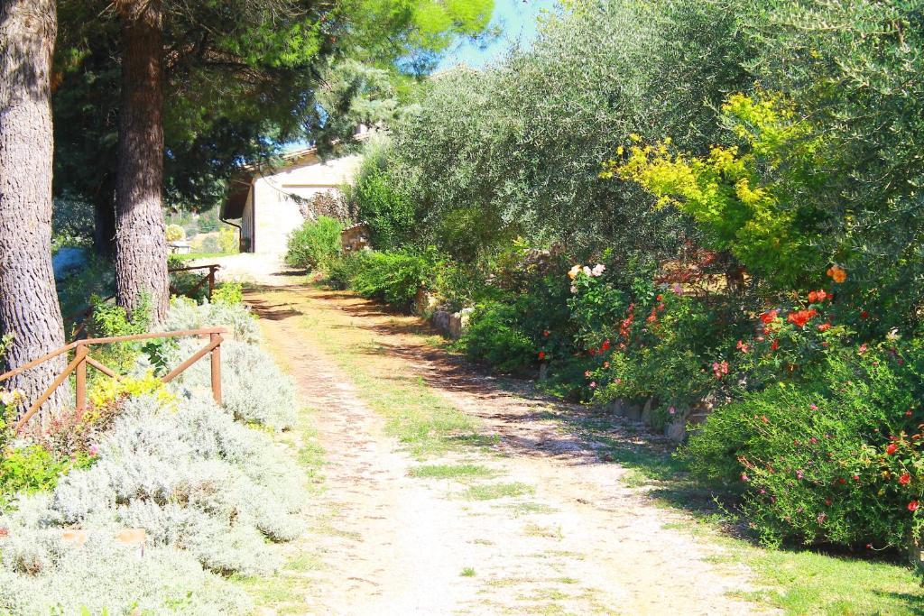 Antica Fonte ξενώνας Ασίζη Εξωτερικό φωτογραφία